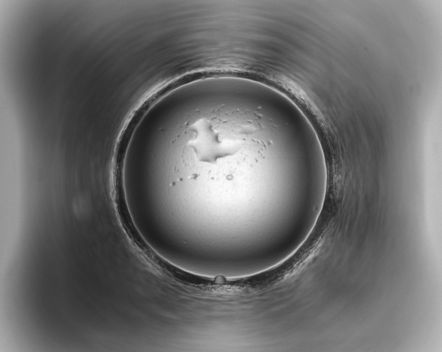 X0000096441085200801241354