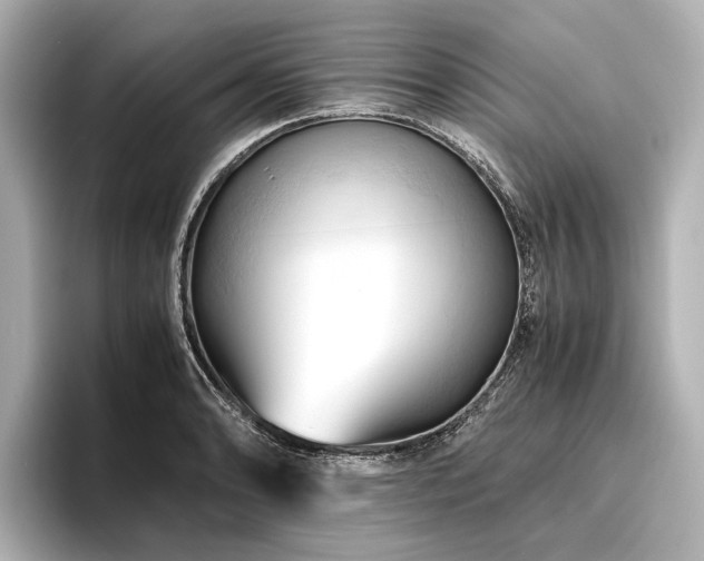 X0000096441086200801241354