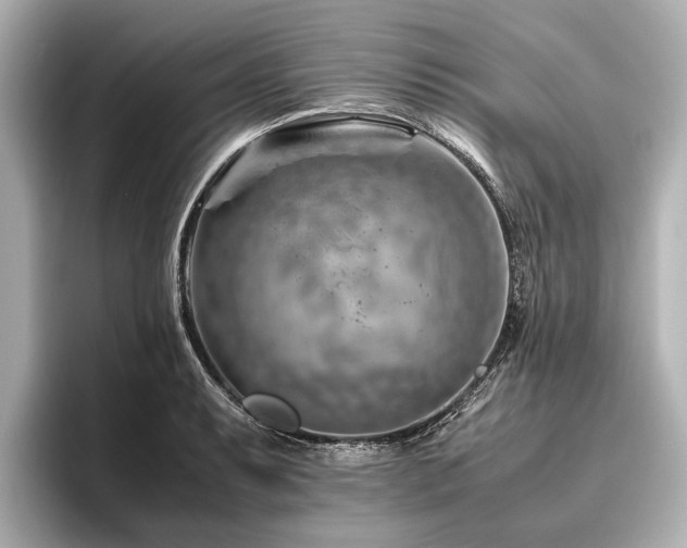 X0000096441087200801241354