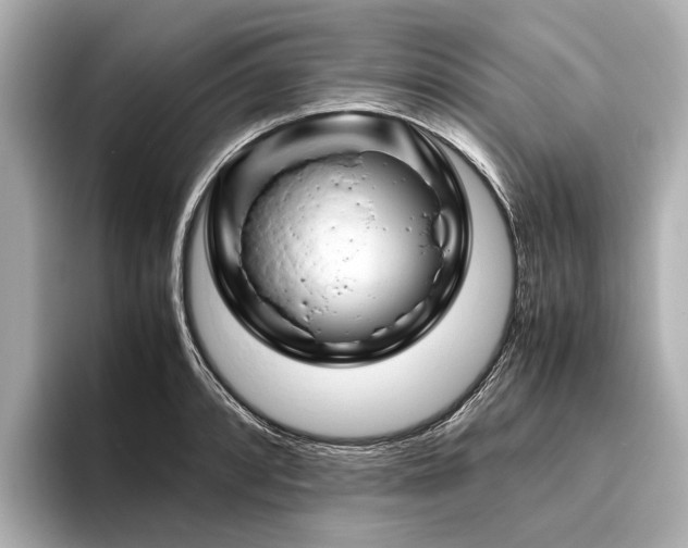 X0000096441088200801241354