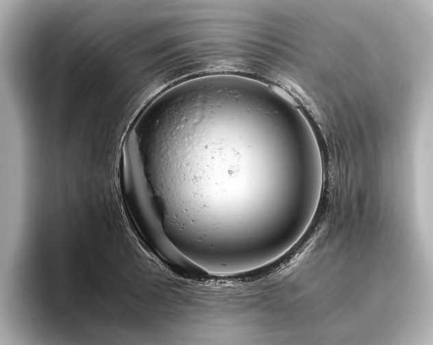X0000096441089200801241354
