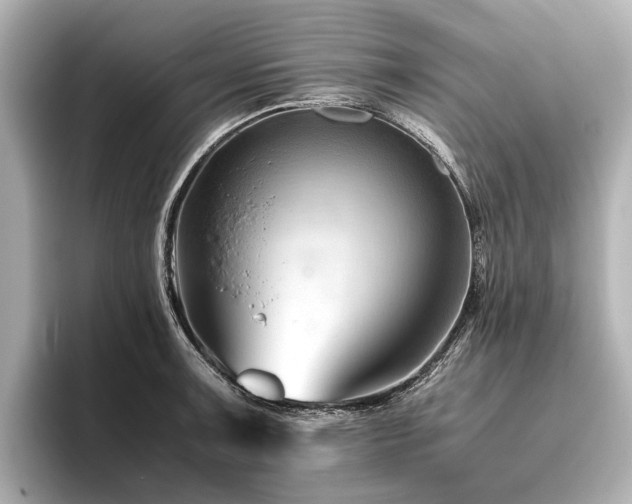 X0000096441091200801241354