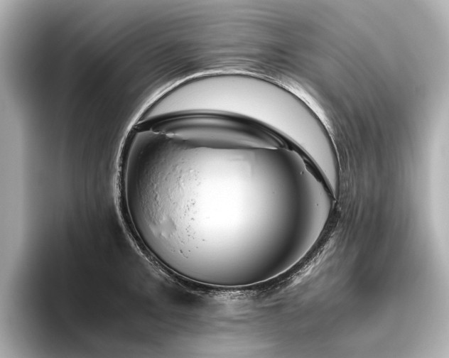 X0000096441093200801241354