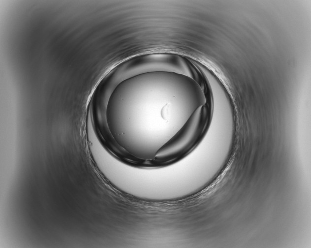 X0000096441097200801241353