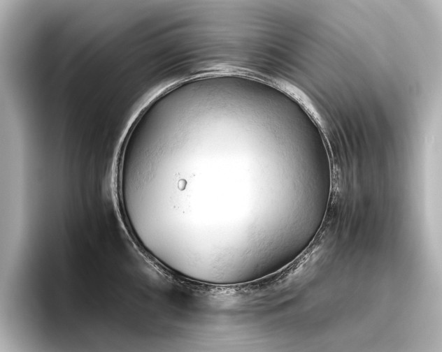 X0000096441098200801241353