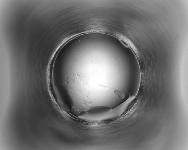 X0000096441099200801241353