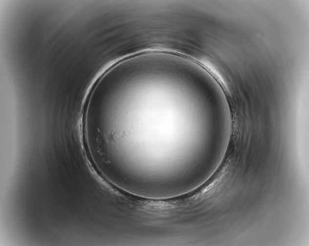 X0000096441100200801241353