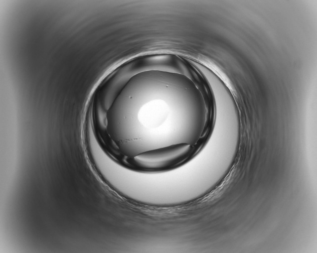 X0000096441101200801241353