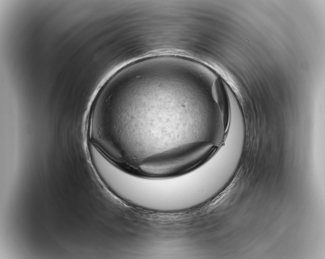 X0000096441102200801241353