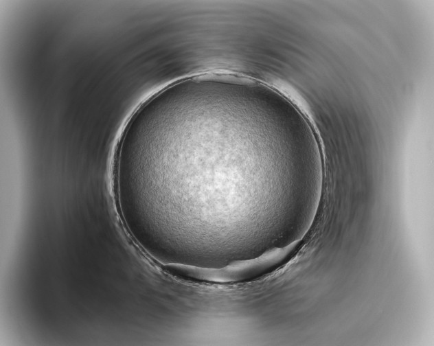 X0000096441104200801241353