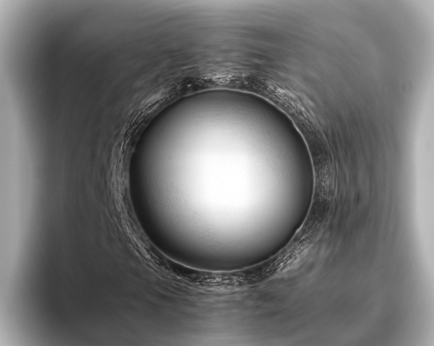 X0000096441105200801241353