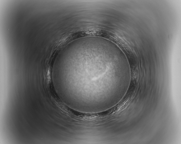 X0000096441106200801241353