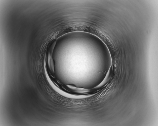 X0000096441108200801241353