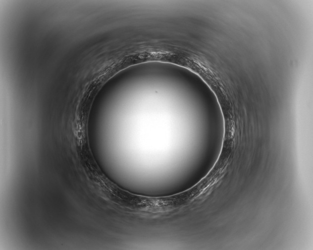 X0000096441109200801241353