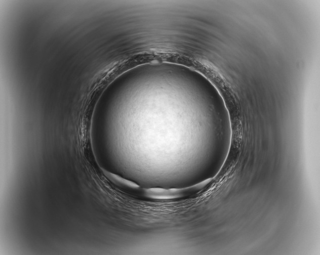 X0000096441110200801241353