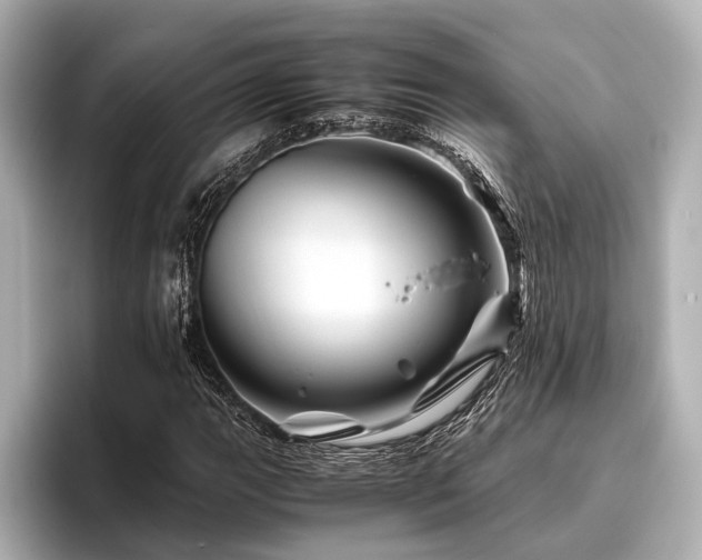 X0000096441111200801241353