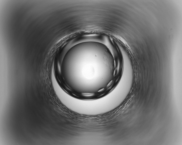X0000096441112200801241353