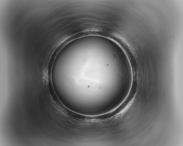 X0000096441113200801241353