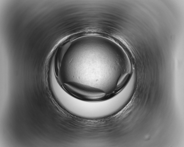 X0000096441115200801241353