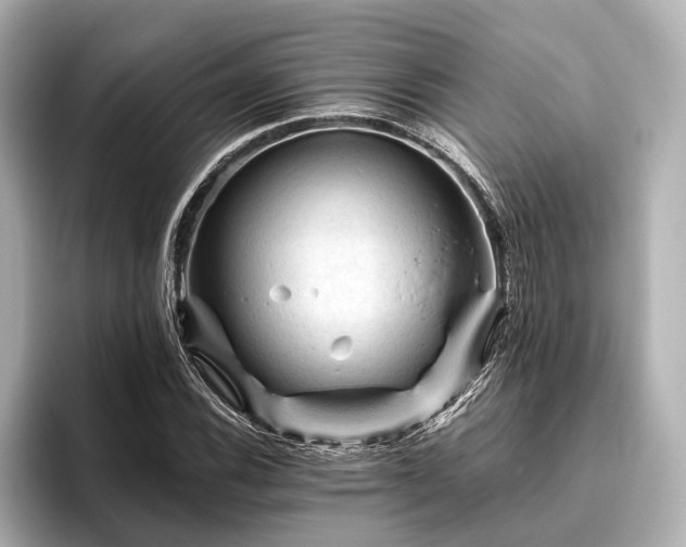 X0000096441116200801241353