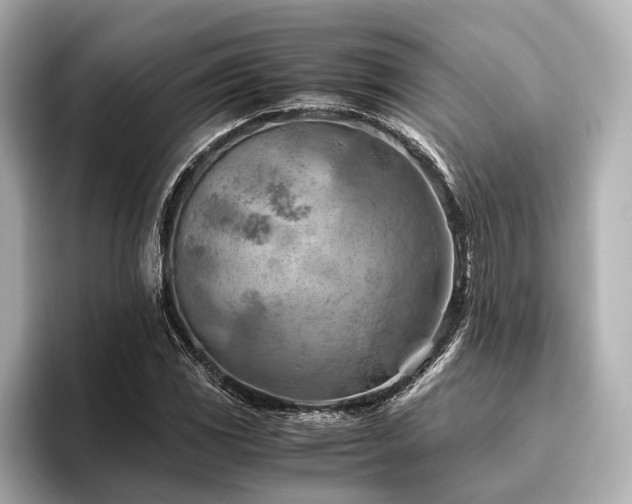 X0000096441117200801241353