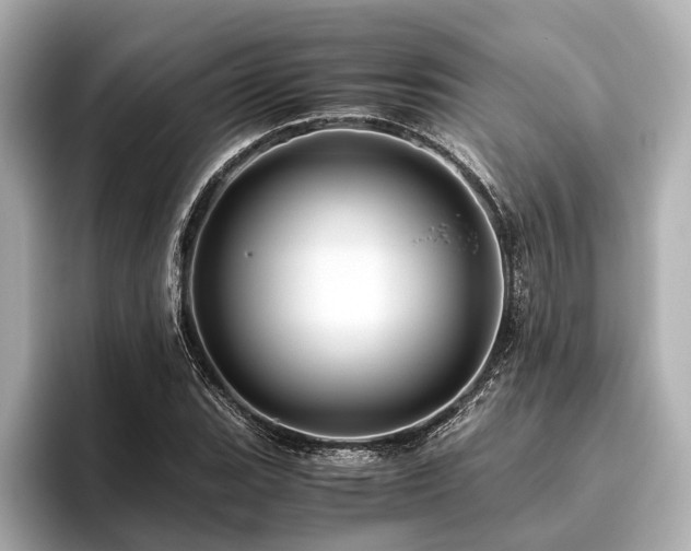 X0000096441119200801241353
