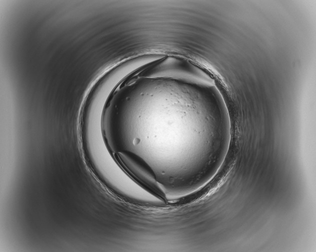 X0000096441122200801241353