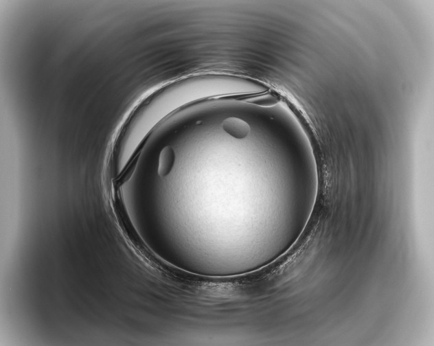 X0000096441123200801241353