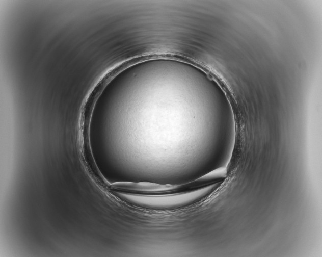 X0000096441124200801241353