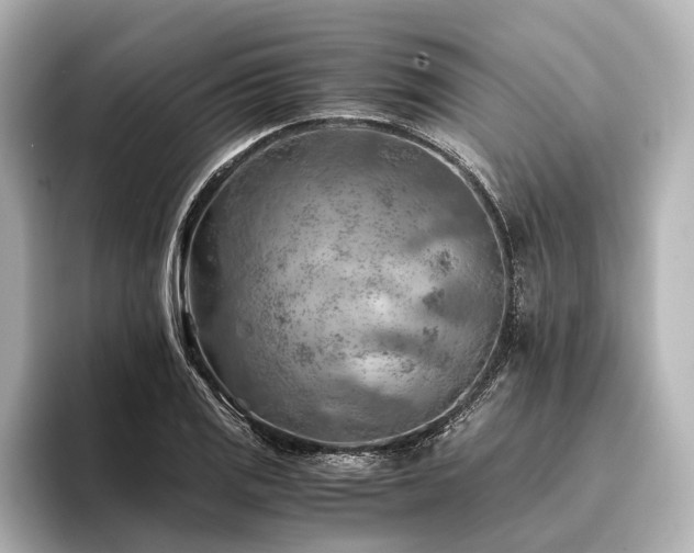 X0000096441125200801241353