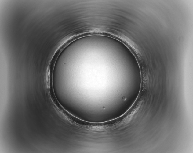 X0000096441126200801241353