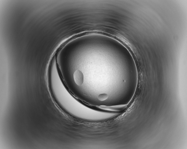 X0000096441127200801241353