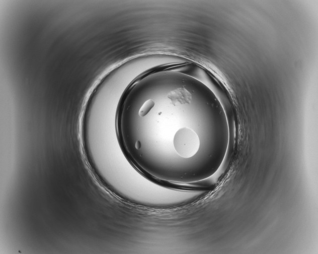 X0000096441128200801241353
