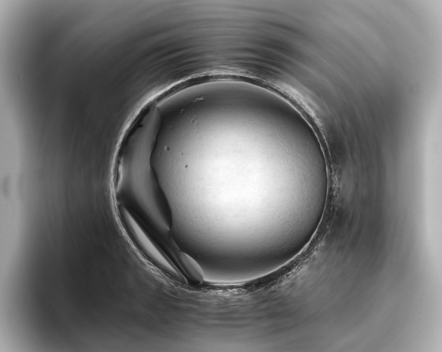 X0000096441133200801241353