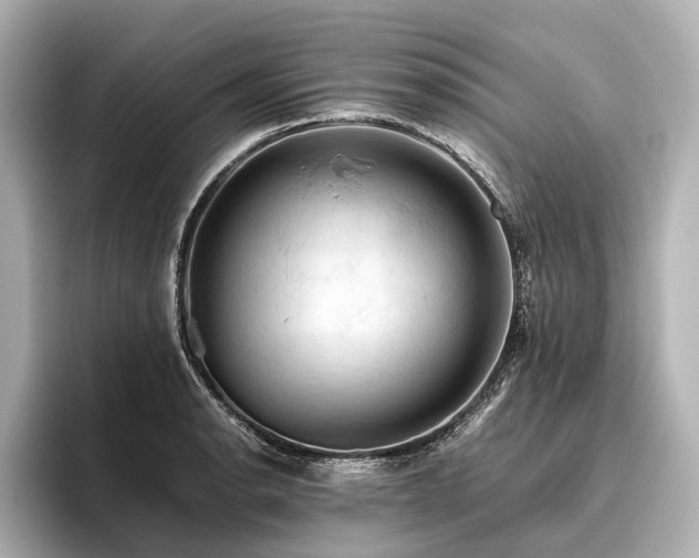 X0000096441134200801241353