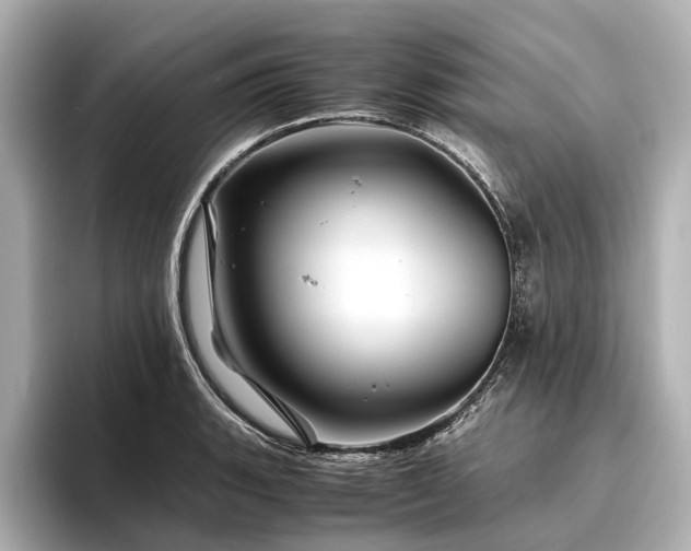 X0000096441135200801241353