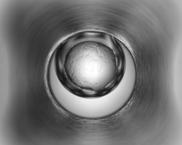 X0000096441136200801241353