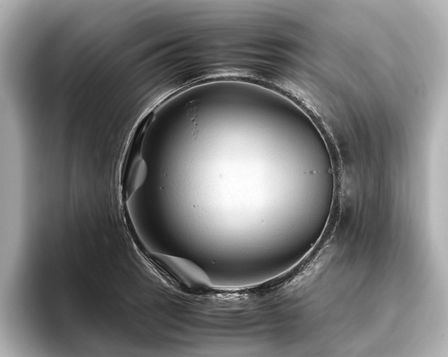 X0000096441137200801241353