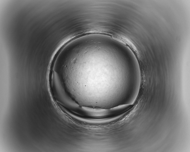 X0000096441138200801241353