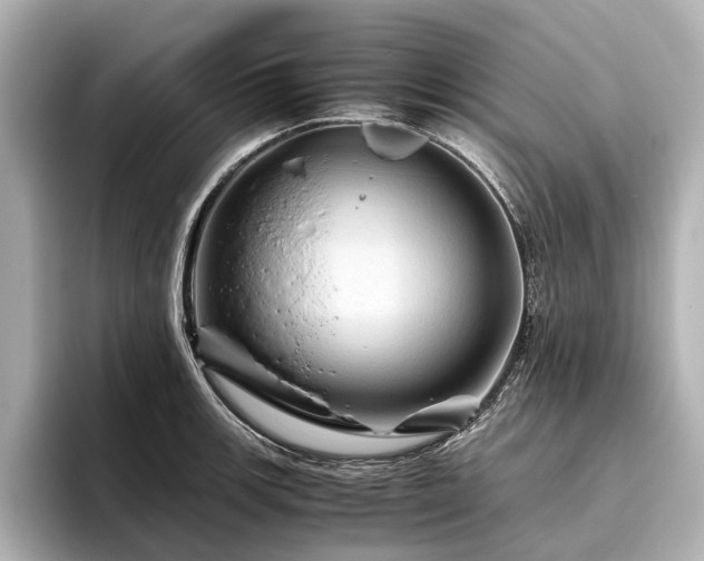 X0000096441139200801241353