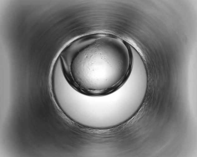 X0000096441140200801241353