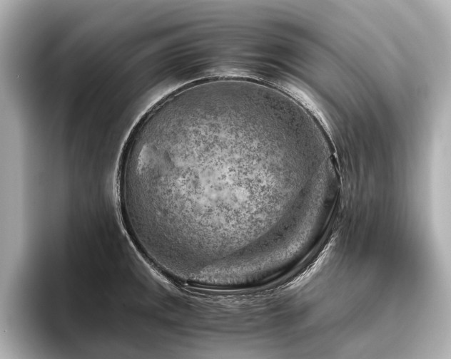 X0000096441141200801241353