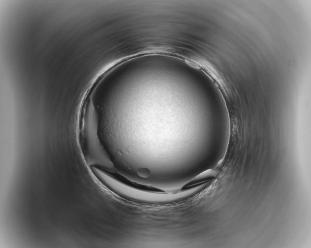 X0000096441143200801241353