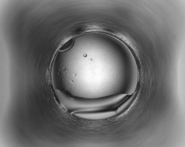 X0000096441145200801241353