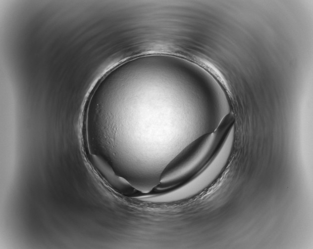 X0000096441146200801241353