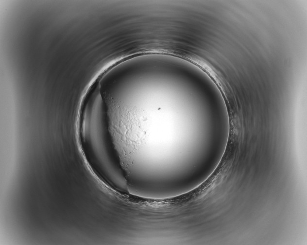 X0000096441147200801241353