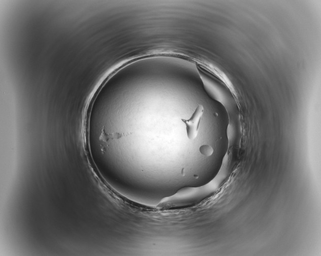 X0000096441148200801241353