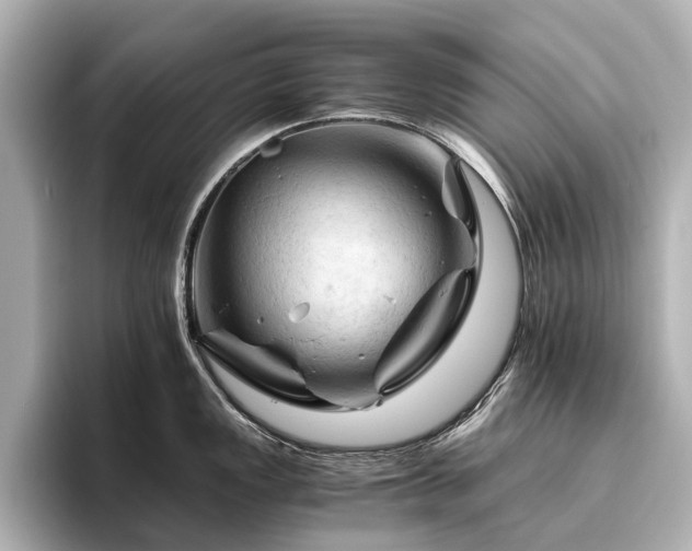 X0000096441149200801241353