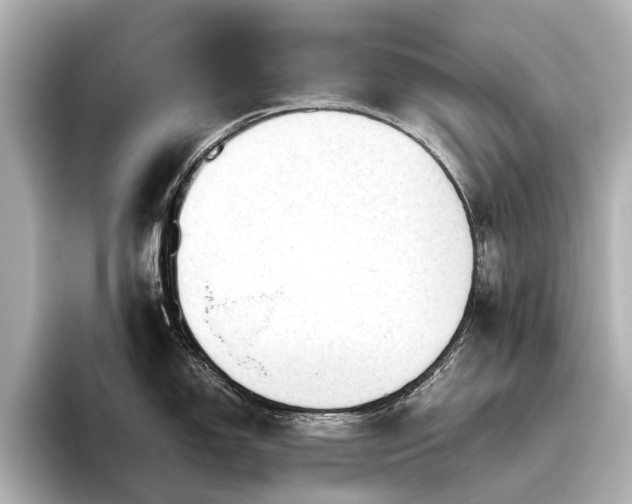 X0000096441150200801241353