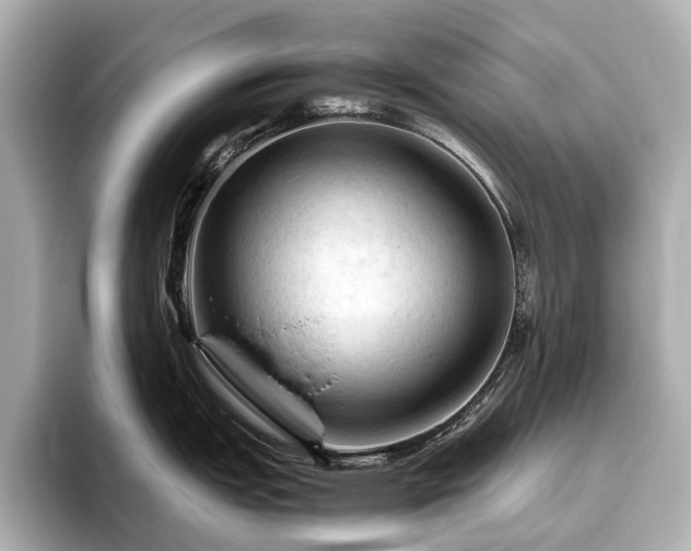 X0000096441151200801241353
